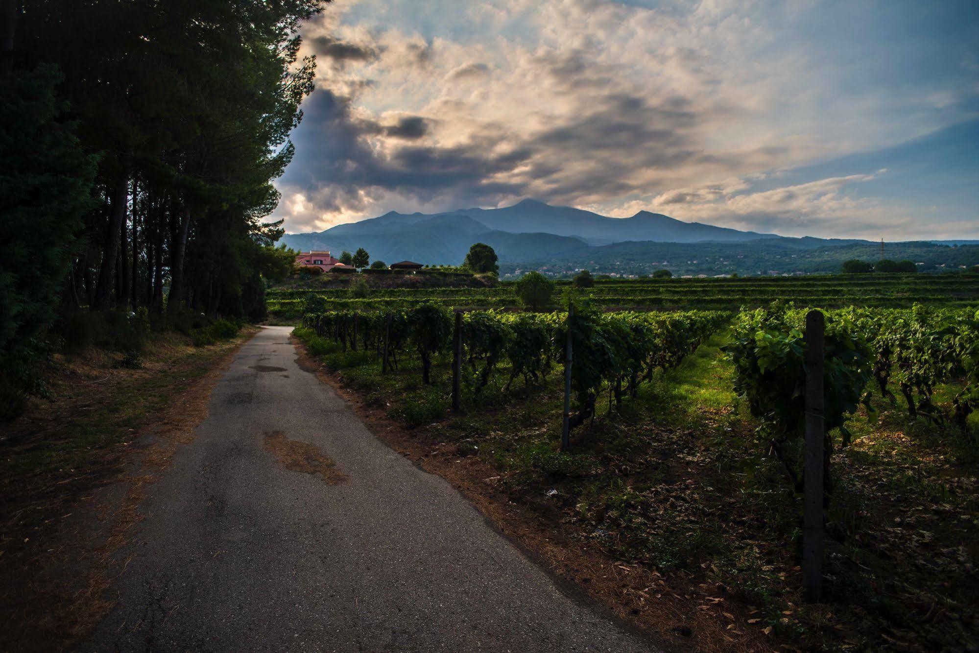 Agriturismo Tenuta San Michele Санта-Венерина Экстерьер фото