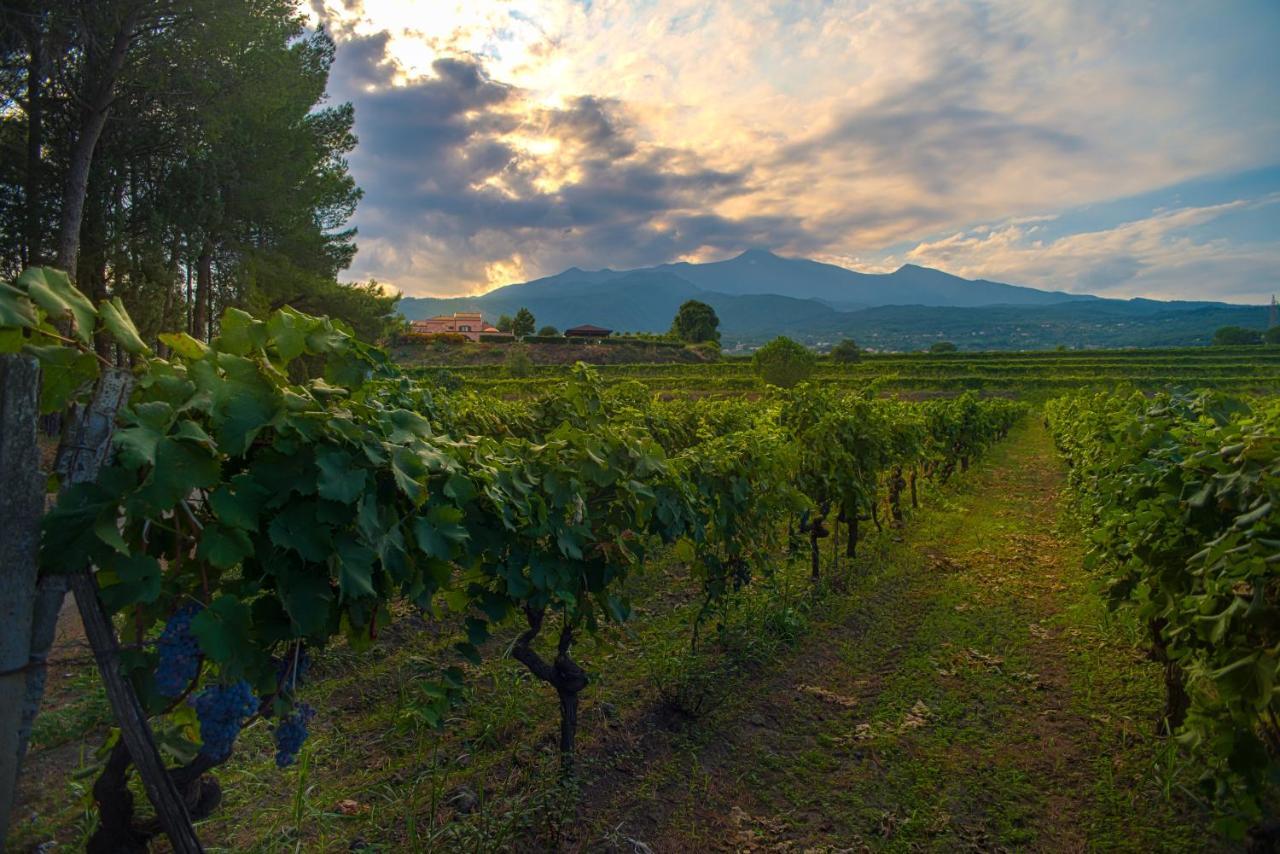 Agriturismo Tenuta San Michele Санта-Венерина Экстерьер фото