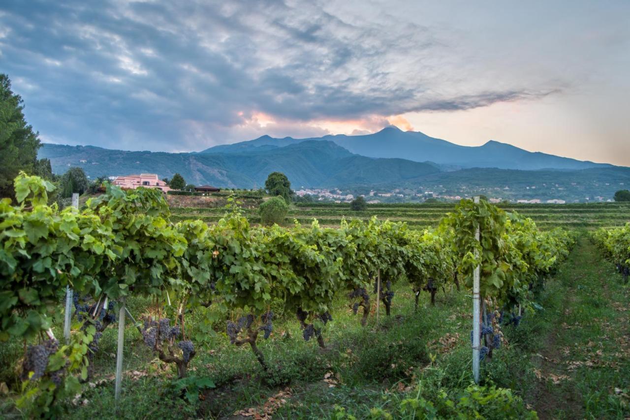 Agriturismo Tenuta San Michele Санта-Венерина Экстерьер фото